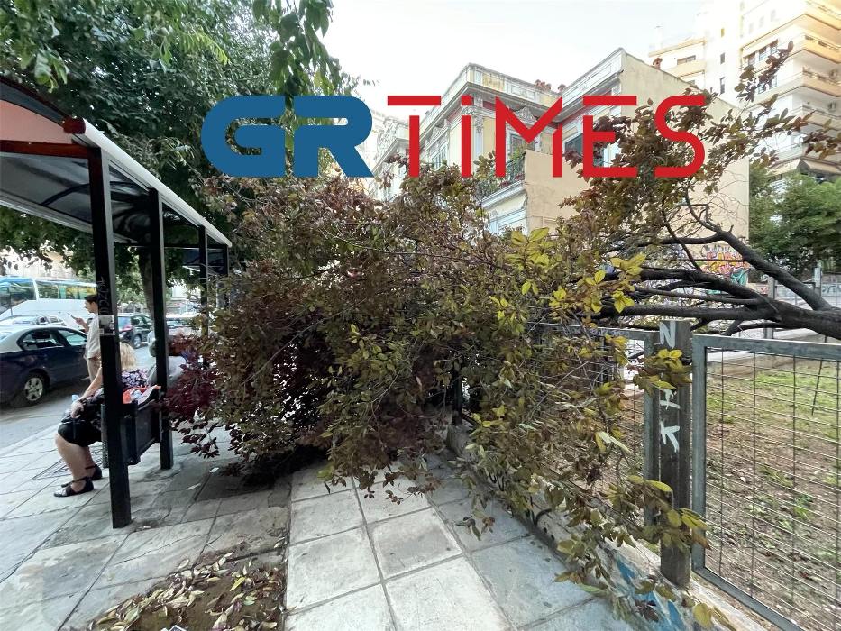 Οι ισχυροί άνεμοι ξερίζωσαν δέντρα στη Θεσσαλονίκη
