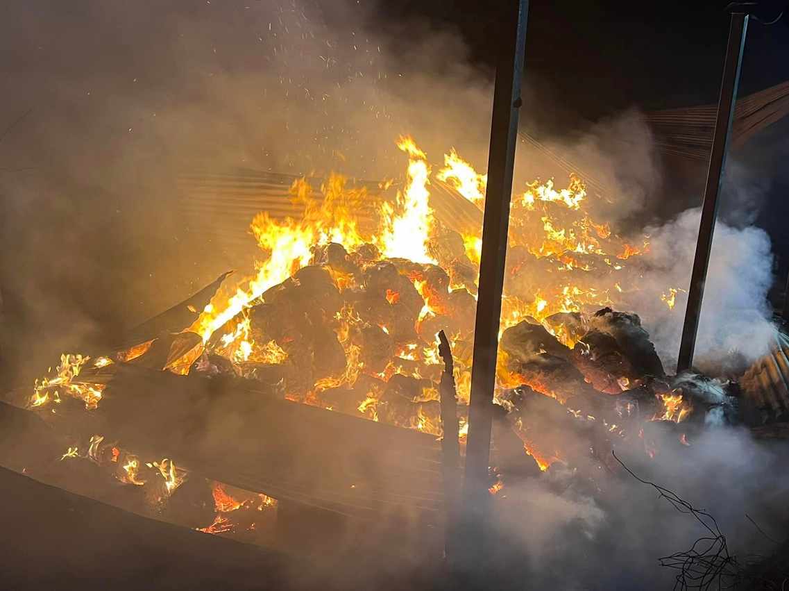 Φθιώτιδα: Μεγάλη καταστροφή από φωτιά σε ποιμνιοστάσιο – Σώθηκαν τα ζώα (pics&vid)