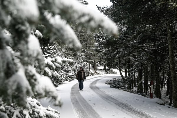 Αρναούτογλου: Χιόνια στην Αττική από το Σάββατο ως την Τετάρτη