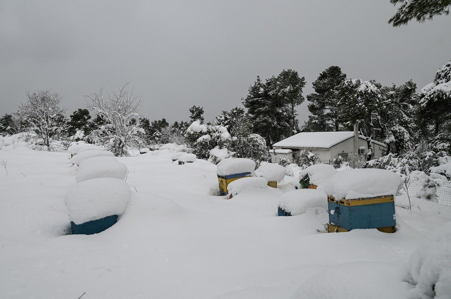 Κακοκαιρία Μπάρμπαρα: Συνεχίζονται οι χιονοπτώσεις σήμερα και αύριο – Οδηγίες αυτοπροστασίας