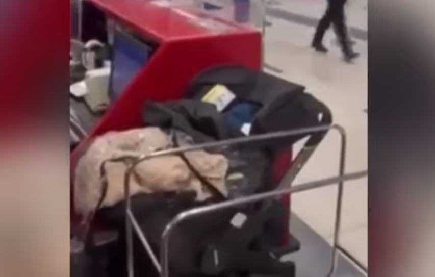 Απίστευτο περιστατικό: Παράτησαν το μωρό τους στο αεροδρόμιο για να προλάβουν πτήση (vid)