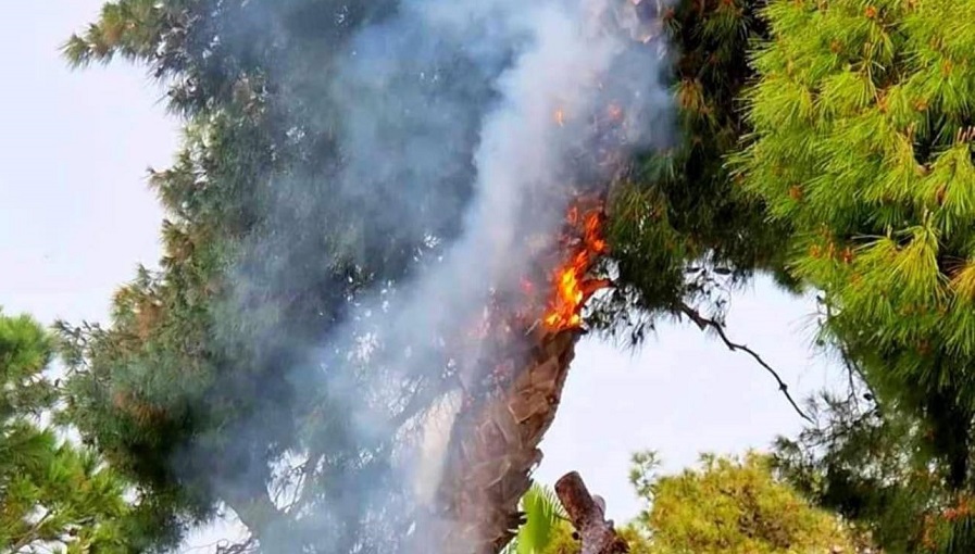 Μαρούσι: Φωτιά από κεραυνό σε δέντρο δίπλα σε καφετέρια (pics)