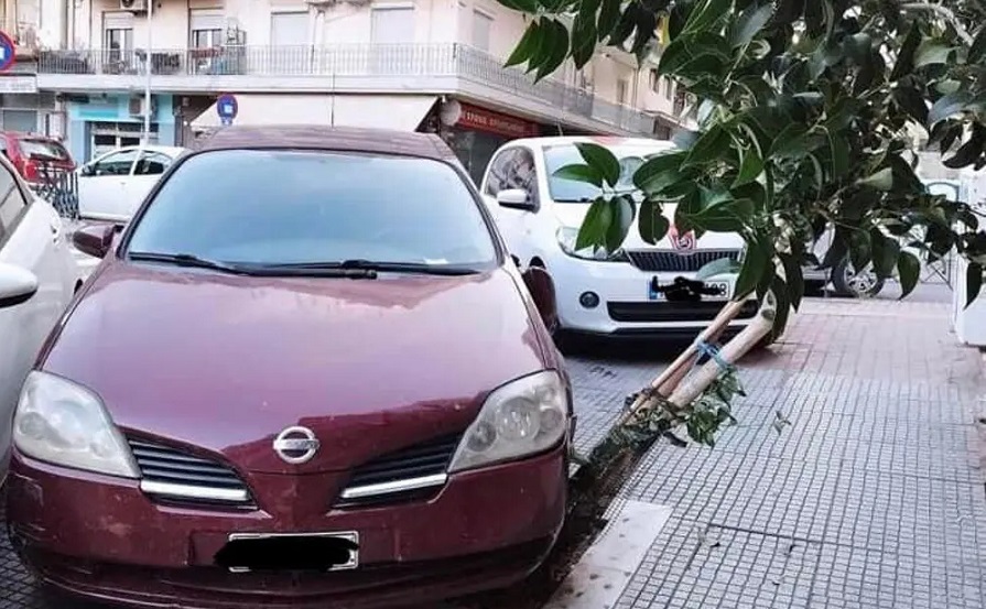 Θεσσαλονίκη: Πάρκαρε το αυτοκίνητό του πάνω σε κορμό δέντρου και τον μήνυσε ο δήμος