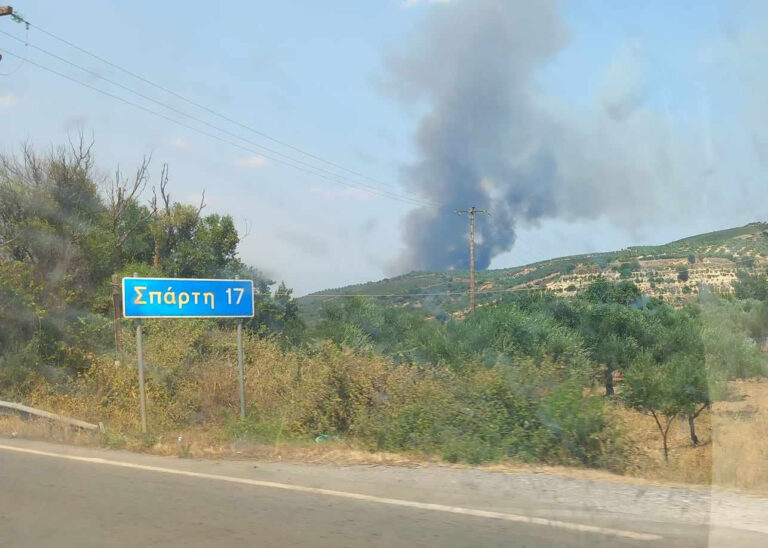 Φωτιά τώρα στη Σπάρτη: Μεγάλη πυρκαγιά στην περιοχή Πυρί