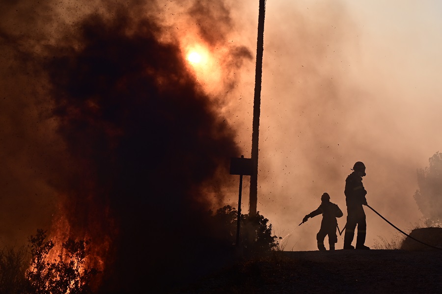 Φωτιά: Κάηκε το καταφύγιο Fazoo Farm στο Λαγονήσι – Θλίψη και οργή καθώς γλίτωσαν ελάχιστα ζώα
