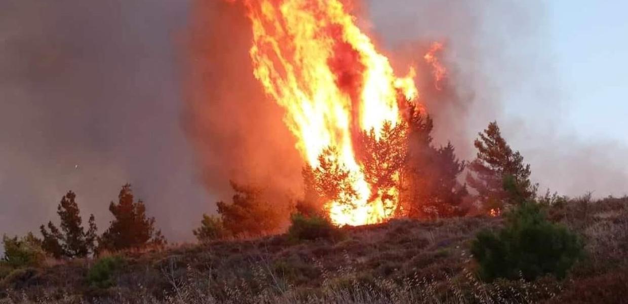 Ανεξέλεγκτη η φωτιά ανάμεσα σε Μάνδρα και Μέγαρα – Απανωτές οι εκκενώσεις οικισμών