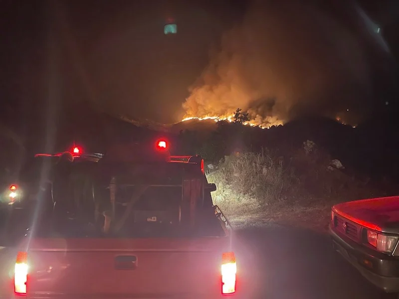 Νάξος -Ολονύχτια μάχη με τις φλόγες: Ενισχύονται οι πυροσβεστικές δυνάμεις
