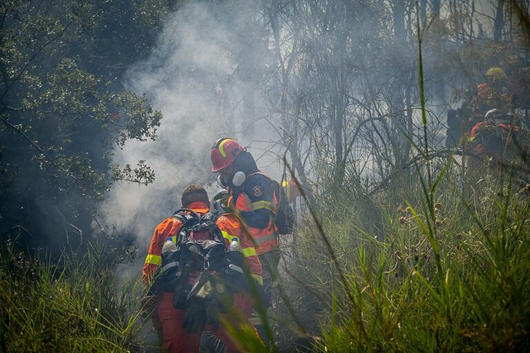 Φωτιά τώρα στο Μαρτίνο: Καίει αγροτοδασική έκταση