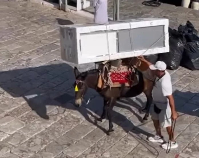 Δήμαρχος Ύδρας για το μουλάρι που κουβαλάει ψυγείο: «Δεν είναι κακοποίηση, είναι ζώα εργασίας»