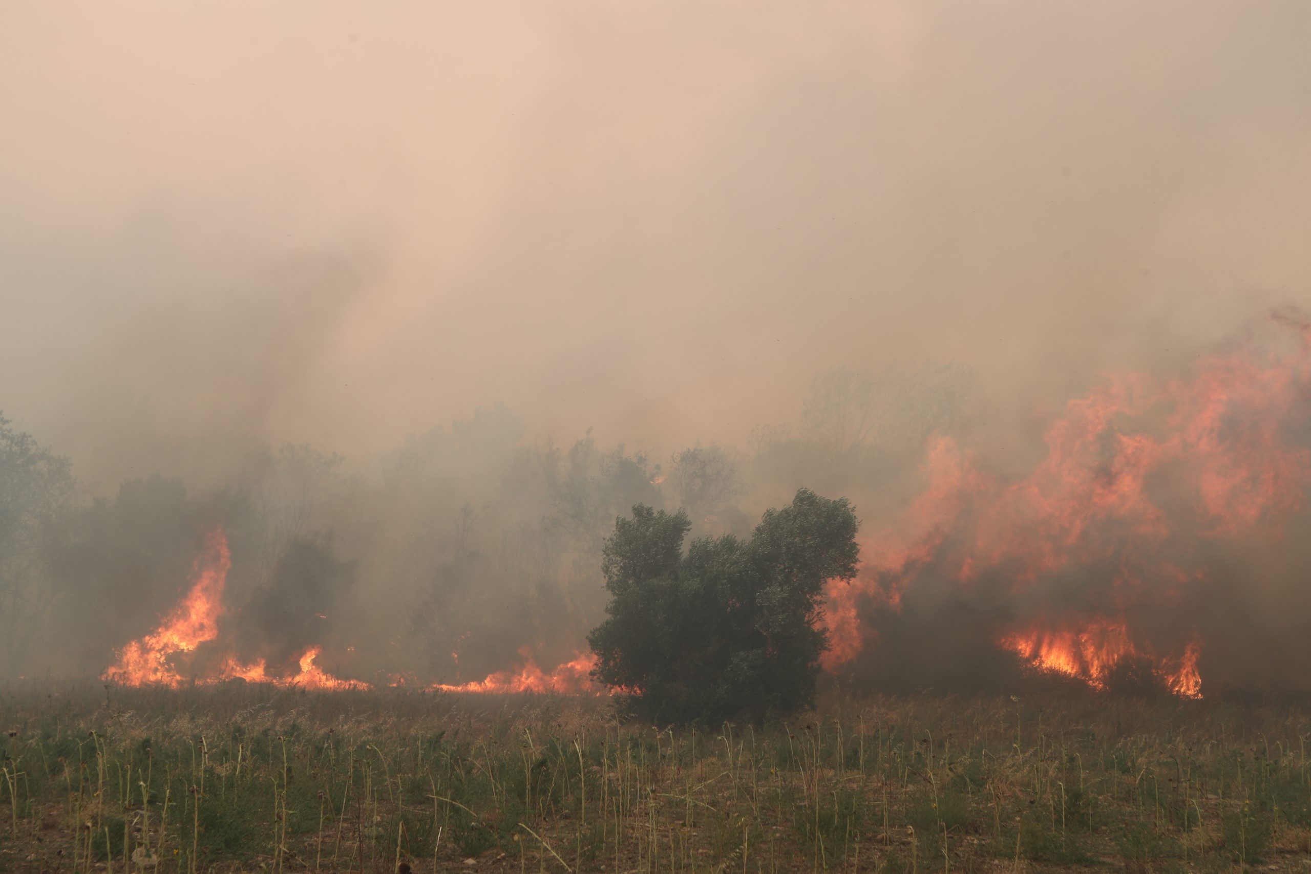 Φωτιά στην Καβάλα: Μήνυμα του 112 για εκκένωση του Αγίου Κοσμά