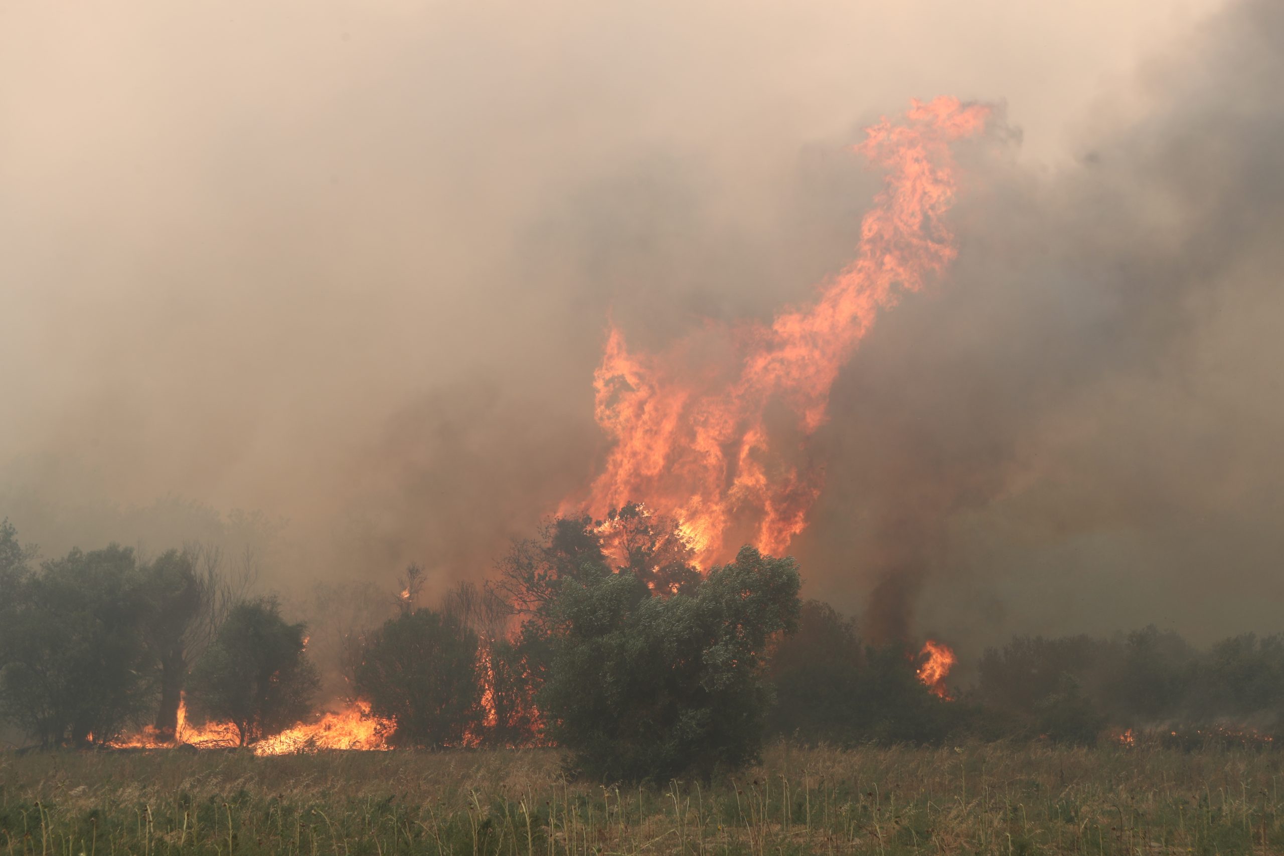 Πολύ υψηλός ο κίνδυνος πυρκαγιάς για τέσσερις περιφέρειες το Σάββατο