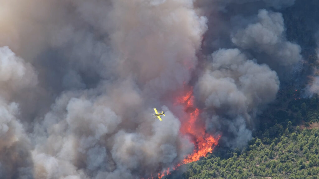 Η τραγωδία της Αττικής: Σε 7 χρόνια κάηκε το 33% των δασών