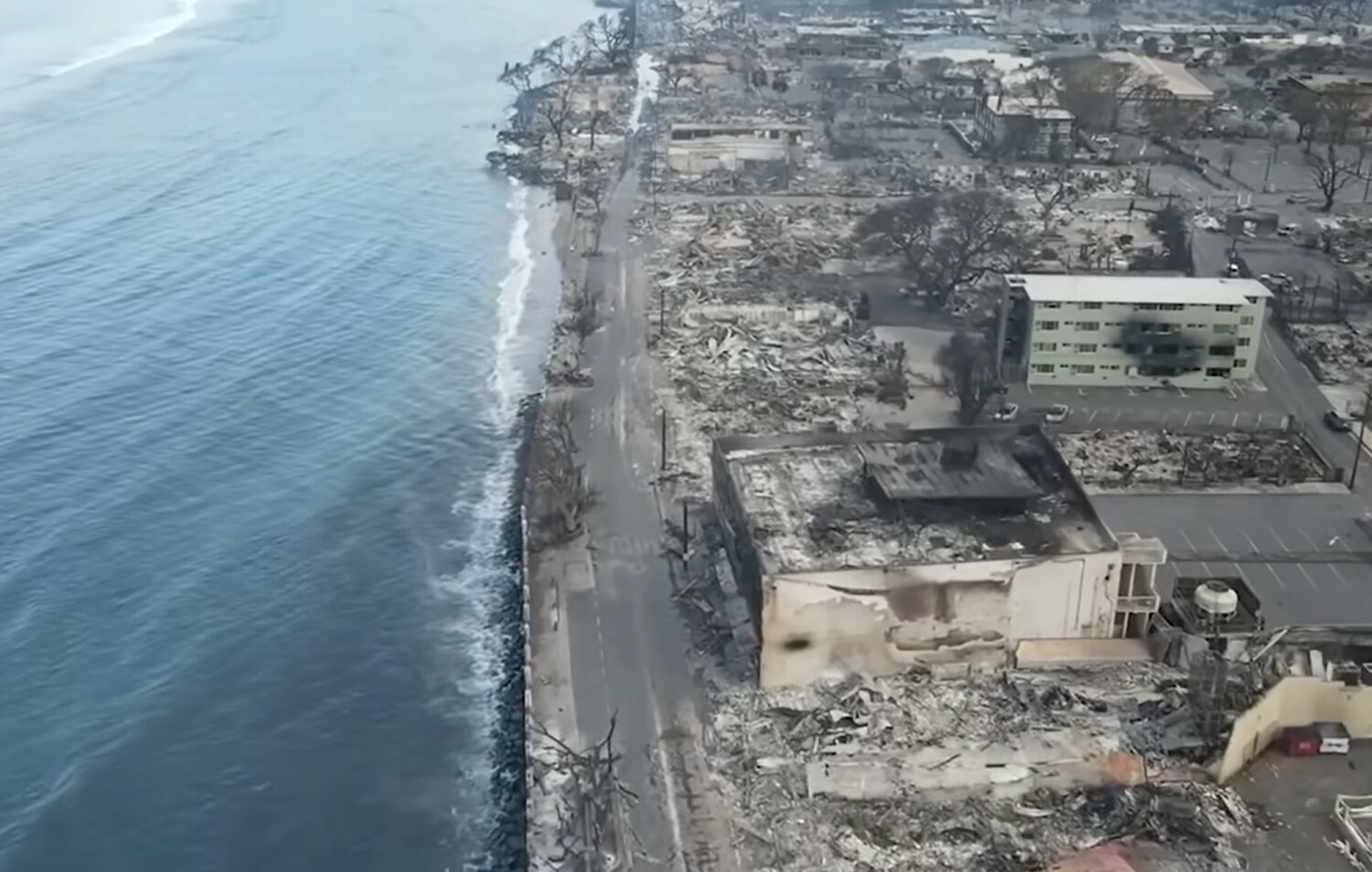 Χαβάη: Εικόνες απόλυτης καταστροφής της Λαχέινα από drone (βίντεο)
