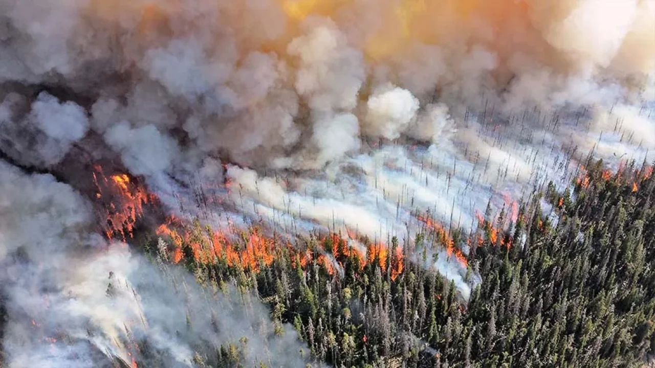 Πυρκαγιές στον Καναδά: Εκκένωση της μεγαλύτερης πόλης στα βορειοδυτικά