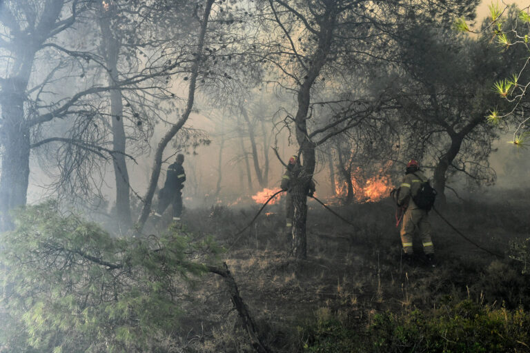 Υψηλός κίνδυνος πυρκαγιάς σε Αλεξανδρούπολη, Σουφλί, Σαμοθράκη – Πού απαγορεύεται η κυκλοφορία