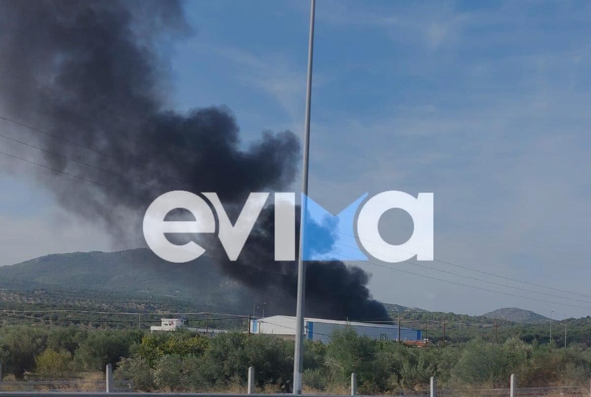 Φωτιά τώρα σε εργοστάσιο στην Εύβοια – Εκκενώνονται οι εγκαταστάσεις