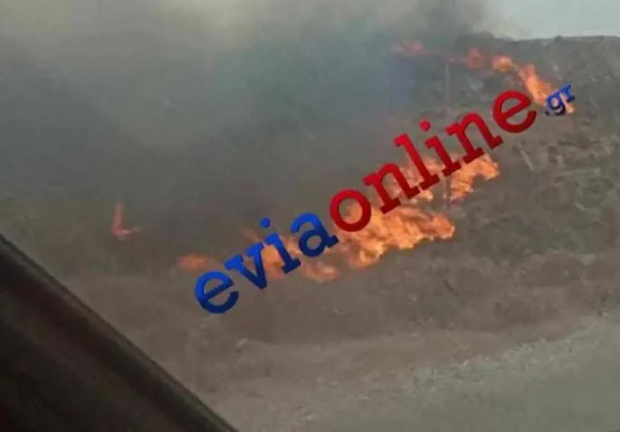 Ανεξέλεγκτη μαίνεται η φωτιά στην Κάρυστο – Απειλούνται σπίτια – Εκκενώθηκαν χωριά