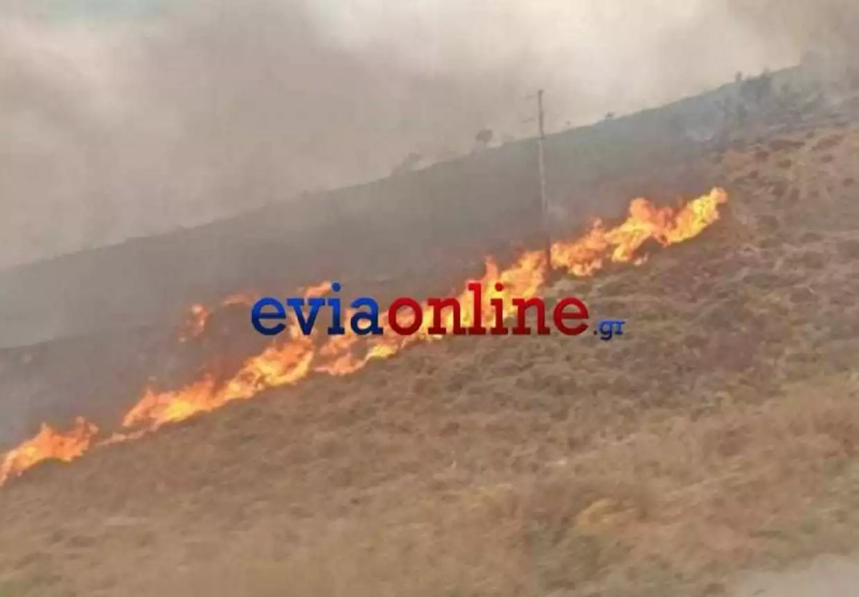 Ανεξέλεγκτη η φωτιά στην Εύβοια –  Εκκενώθηκαν τα χωριά Αμυγδαλιά και Πρινιά – Κινδυνεύουν σπίτια, ζώα και στάβλοι