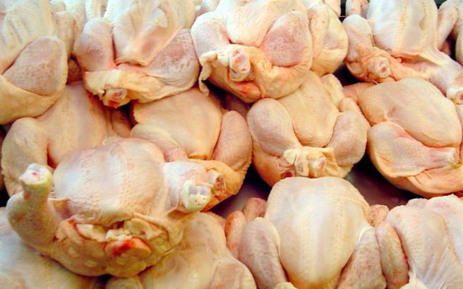 ΣΟΚ: Ερευνα αποκαλύπτει ότι το 95% των κοτόπουλων από σούπερ μάρκετ είναι μολυσμένα