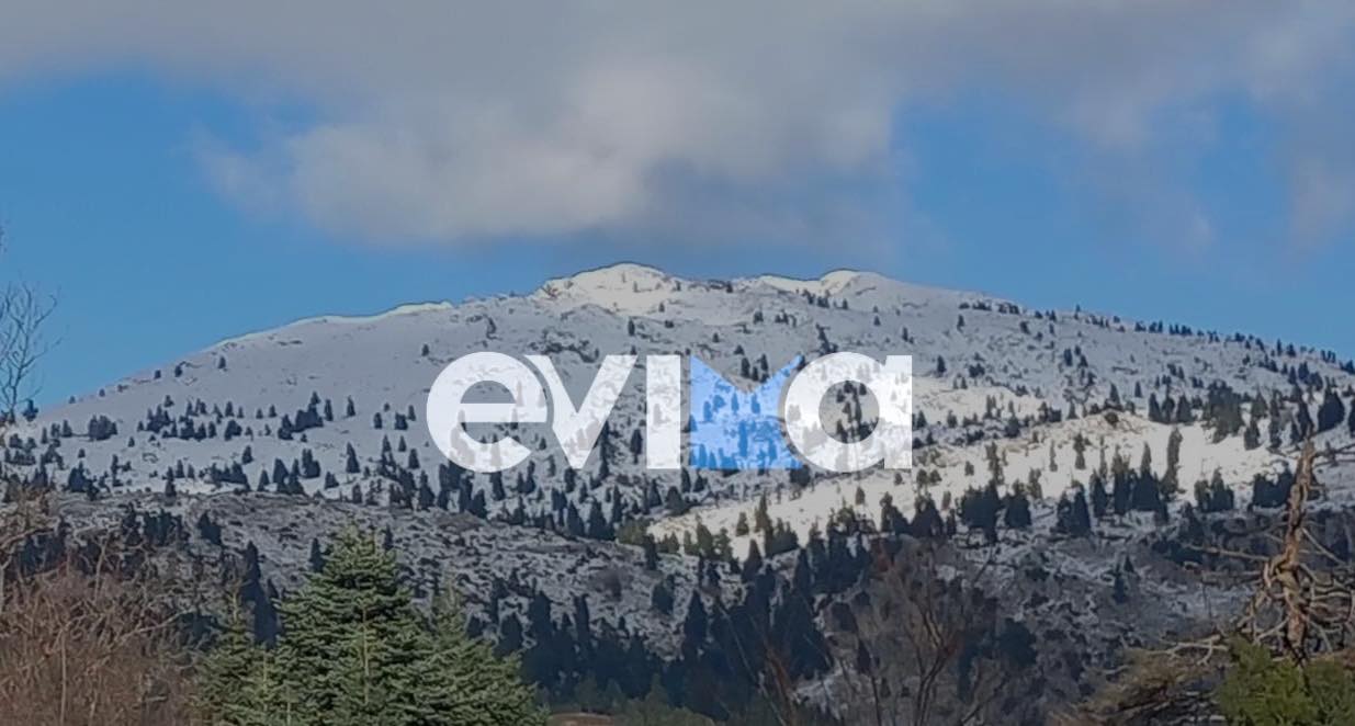 Χιόνια στην Εύβοια: Το έστρωσε στα ορεινά (pics)
