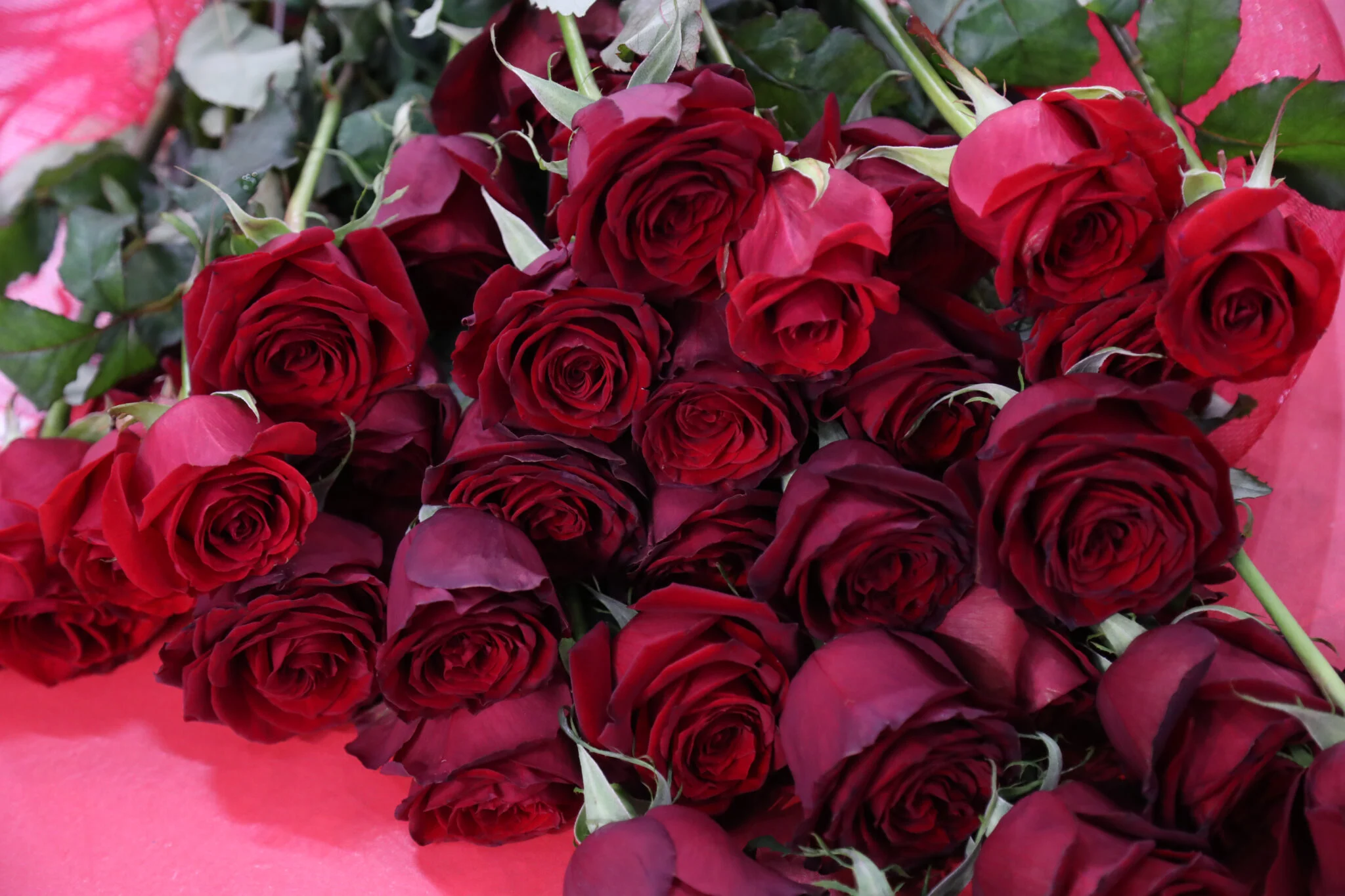 Η ακρίβεια χτυπά και τους…ερωτευμένους: Στα ύψη οι τιμές των λουλουδιών για του Αγίου Βαλεντίνου