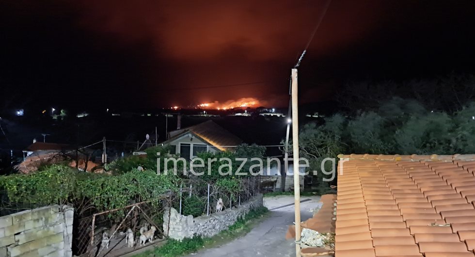 Φωτιά τώρα στη Ζάκυνθο: Eνισχύονται οι πυροσβεστικές δυνάμεις – Ισχυροί άνεμοι πνέουν στο σημείο