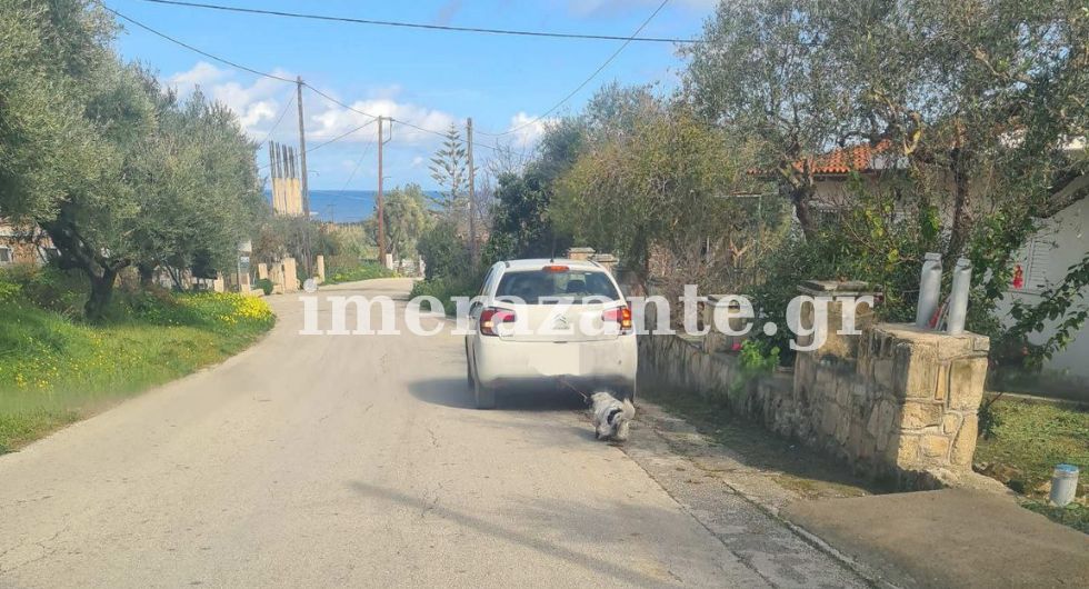 Ζάκυνθος: Τσουχτερό πρόστιμο σε 66χρονο που έσερνε σκύλο με το αμάξι