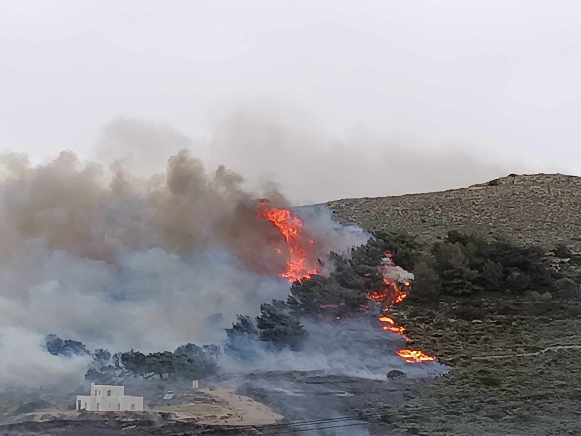 Φωτιά τώρα στην Πάρο, κοντά σε σπίτια – Μήνυμα από το 112 για εκκένωση της περιοχής