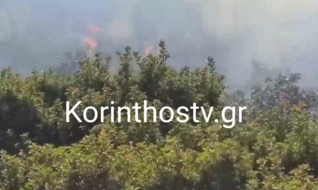 Φωτιά στην Κορινθία στην περιοχή Μπολάτι